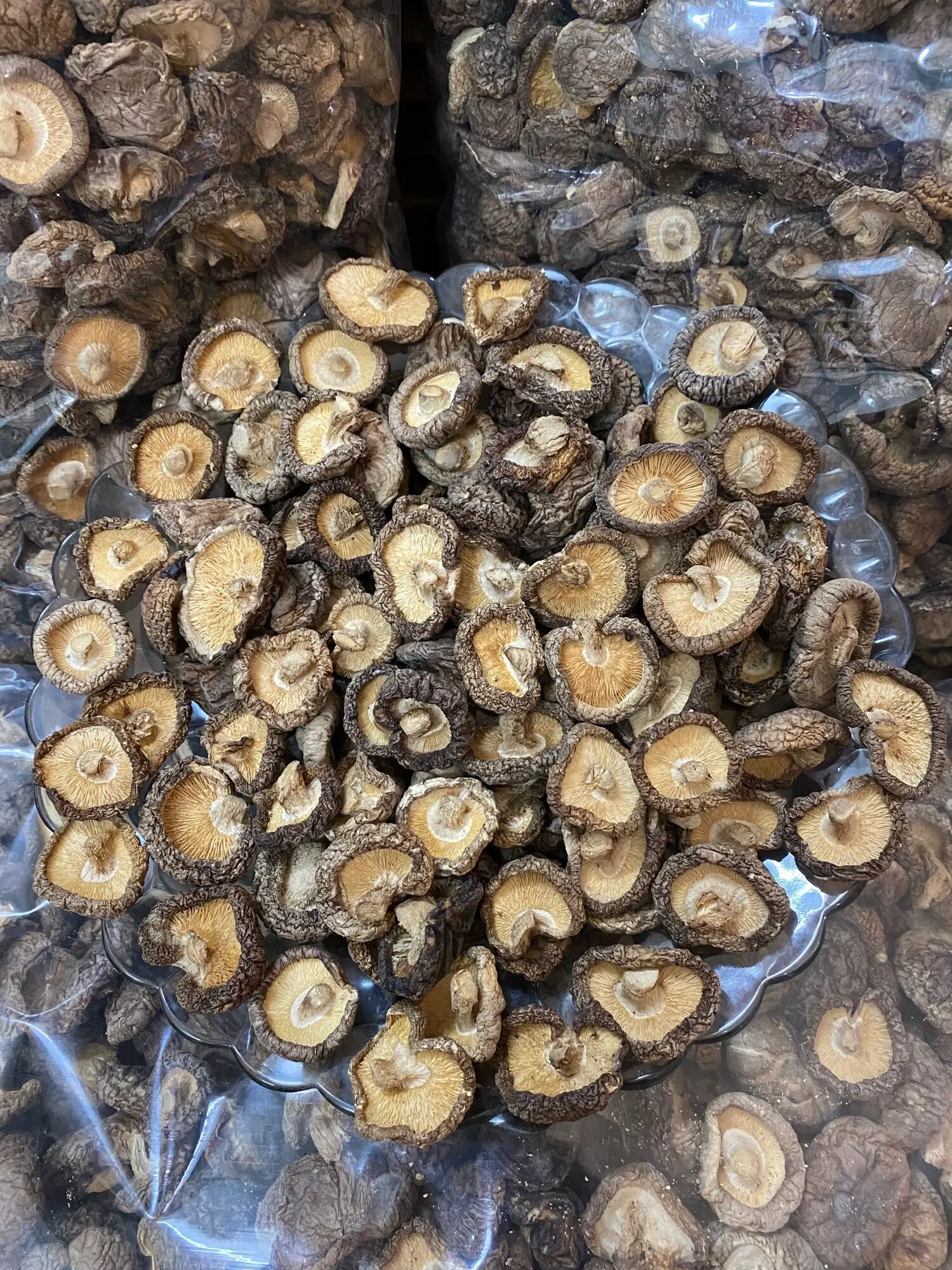 Shiitake Mushroom