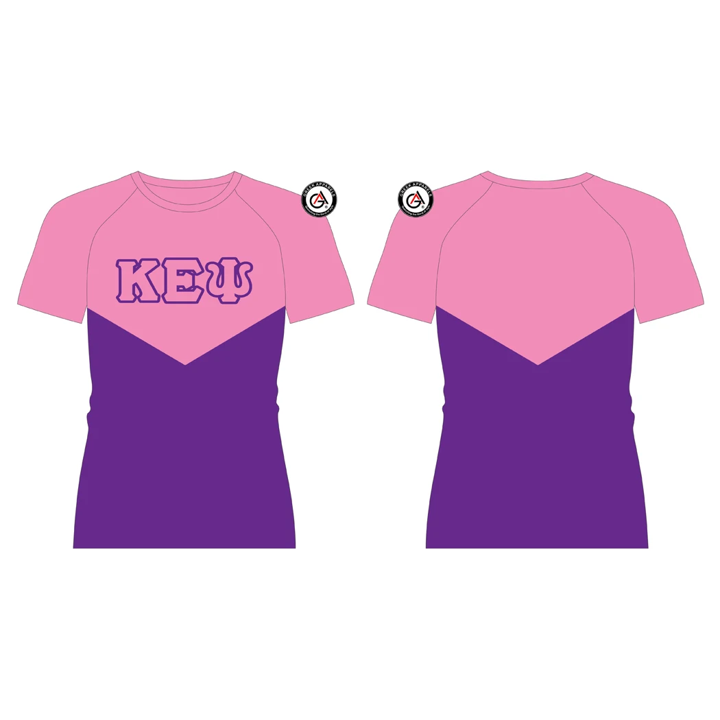 High Quality Latest Design Women Pink Color Oversized Embroidery Crewnecks T Shirt Kapa Epsilon Psi T Shirt