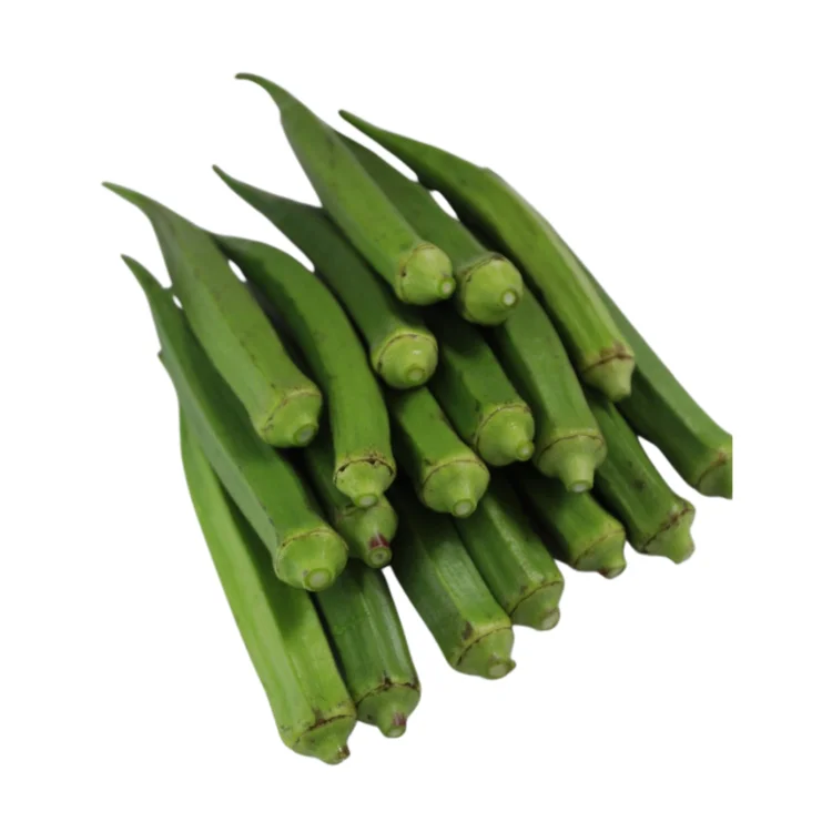 vegetables fresh okra High Quality natural taste using for many purposes TCVN packing in carton Vietnam Manufacturer