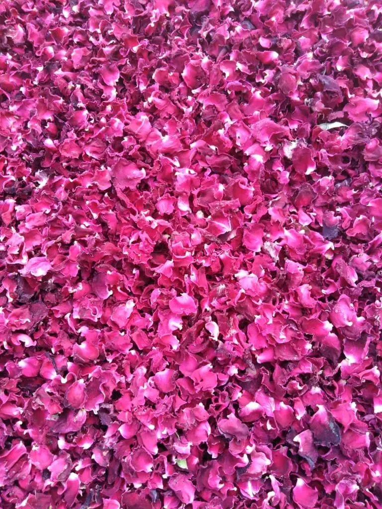 Натуральные сушеные лепестки роз настоящие цветы сухие красные для ног ванны тела ванной спа свадьбы конфетти Домашний аромат поделки «сделай сам»
