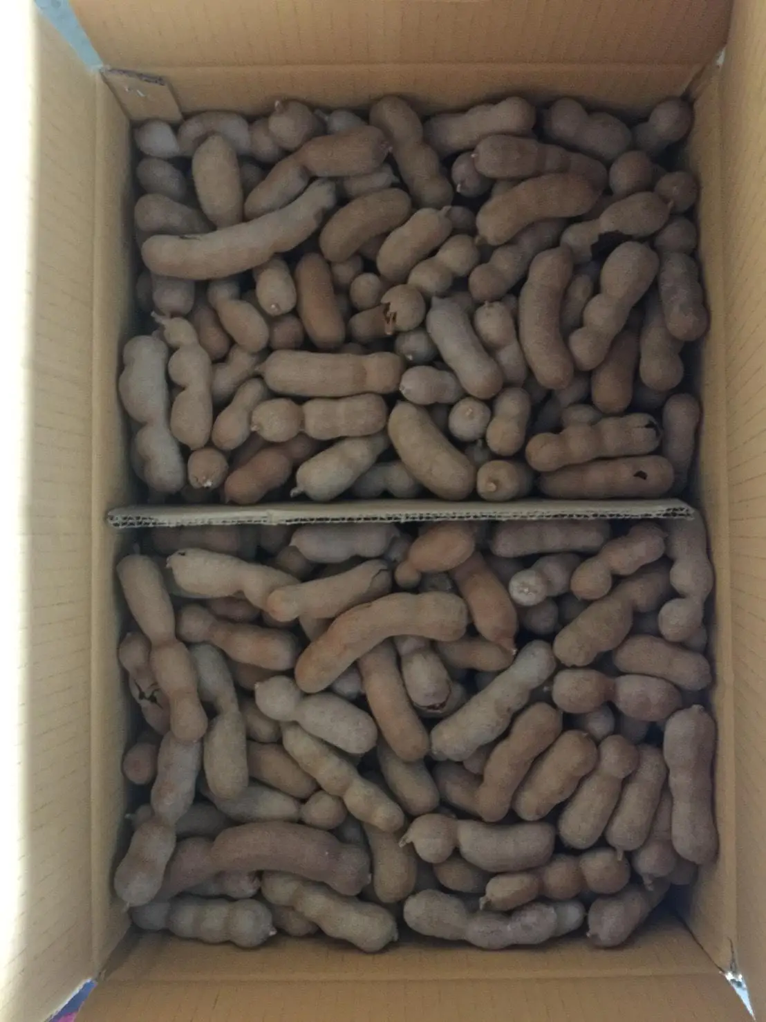 Best Quality Thailand Tamarind Sour Tamarind Sweet Tamarind Ready To Export