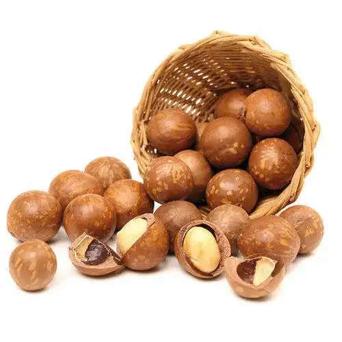 MACADAMIA NUTS VIETNAM GOOD for HEALTH / MACADAMIA NUTS FROM VIETNAM COMPETITIVE PRICE // Ms Laura