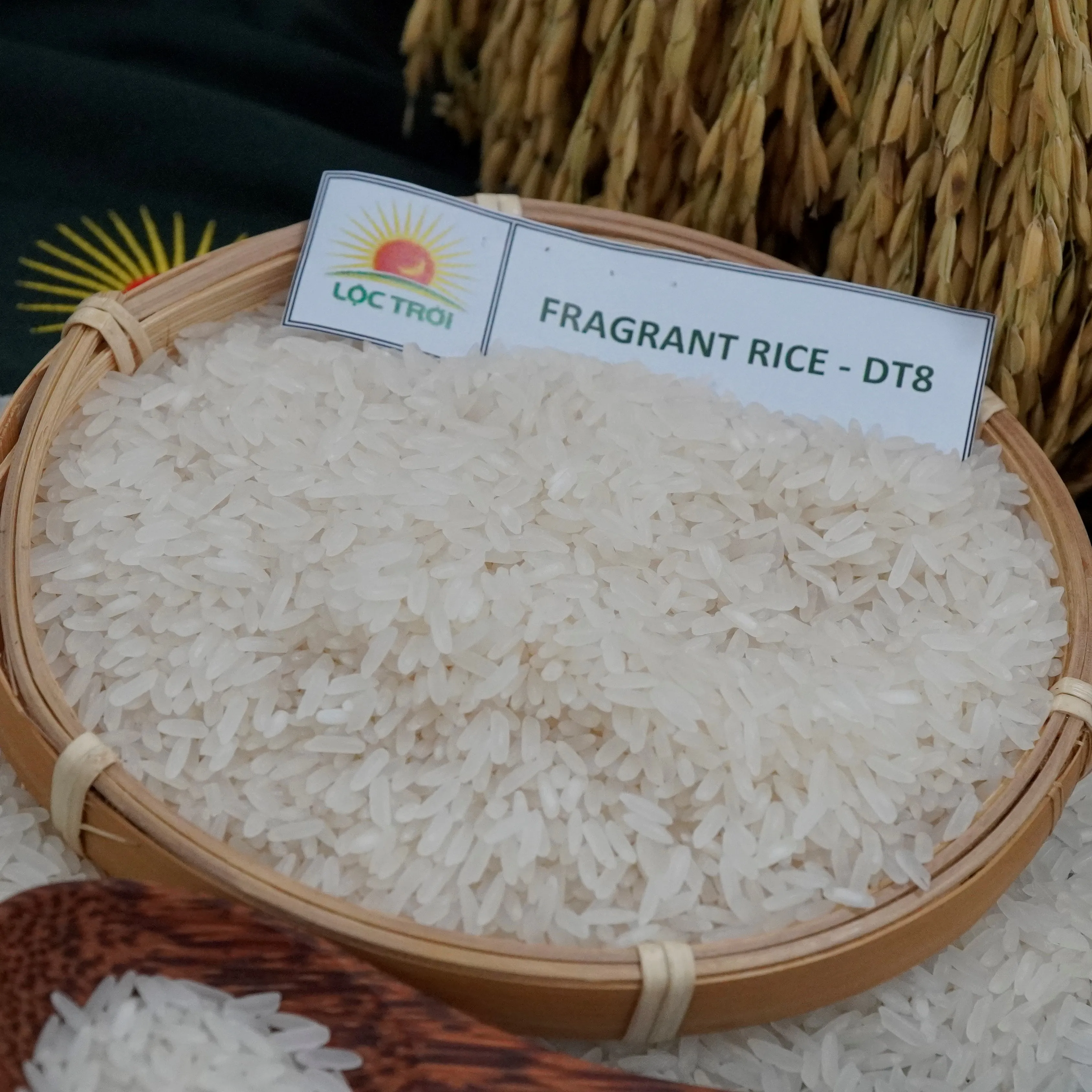 High quality long grain DT8/Jasmine white fragant rice packing 1kg,5kg,25kg,50kg from Vietnam for wholesales