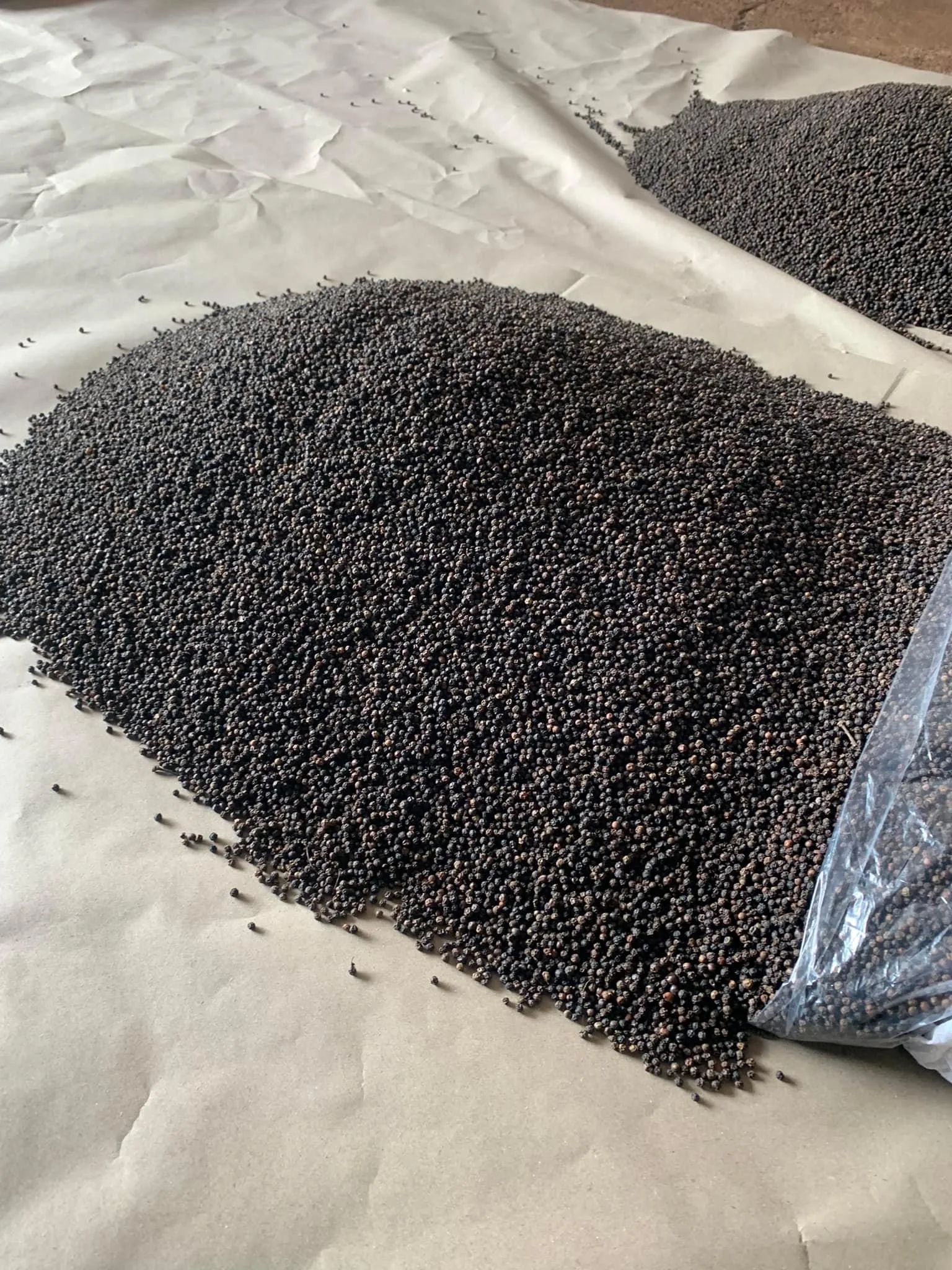 Cheap Price Black Pepper 500G/L FAQ High Quality From Association Vietnam Mr  Thomas Nguyen