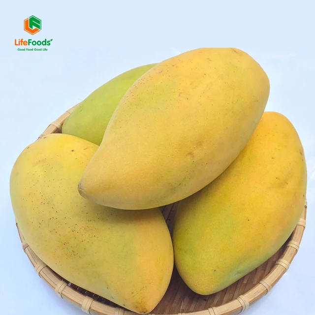 Storage cool reasonable place life price package shelf origin fresh mangos Fresh Hoa Loc Mango Lifefoods from Vietnam