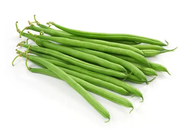 Premium Quality Food Grade  Green beans Wholesale  Bulk Style Storage Packing and Packaging ready for export
