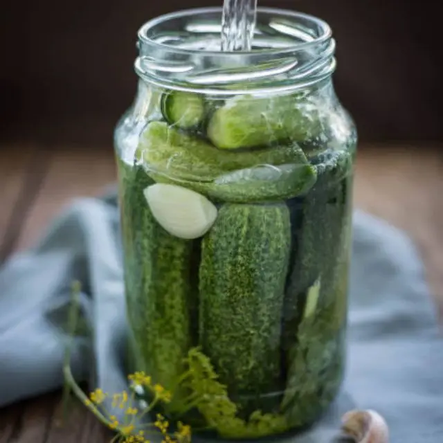 CANNED PICKLED CUCUMBER BLUE LOTUS VIETNAM