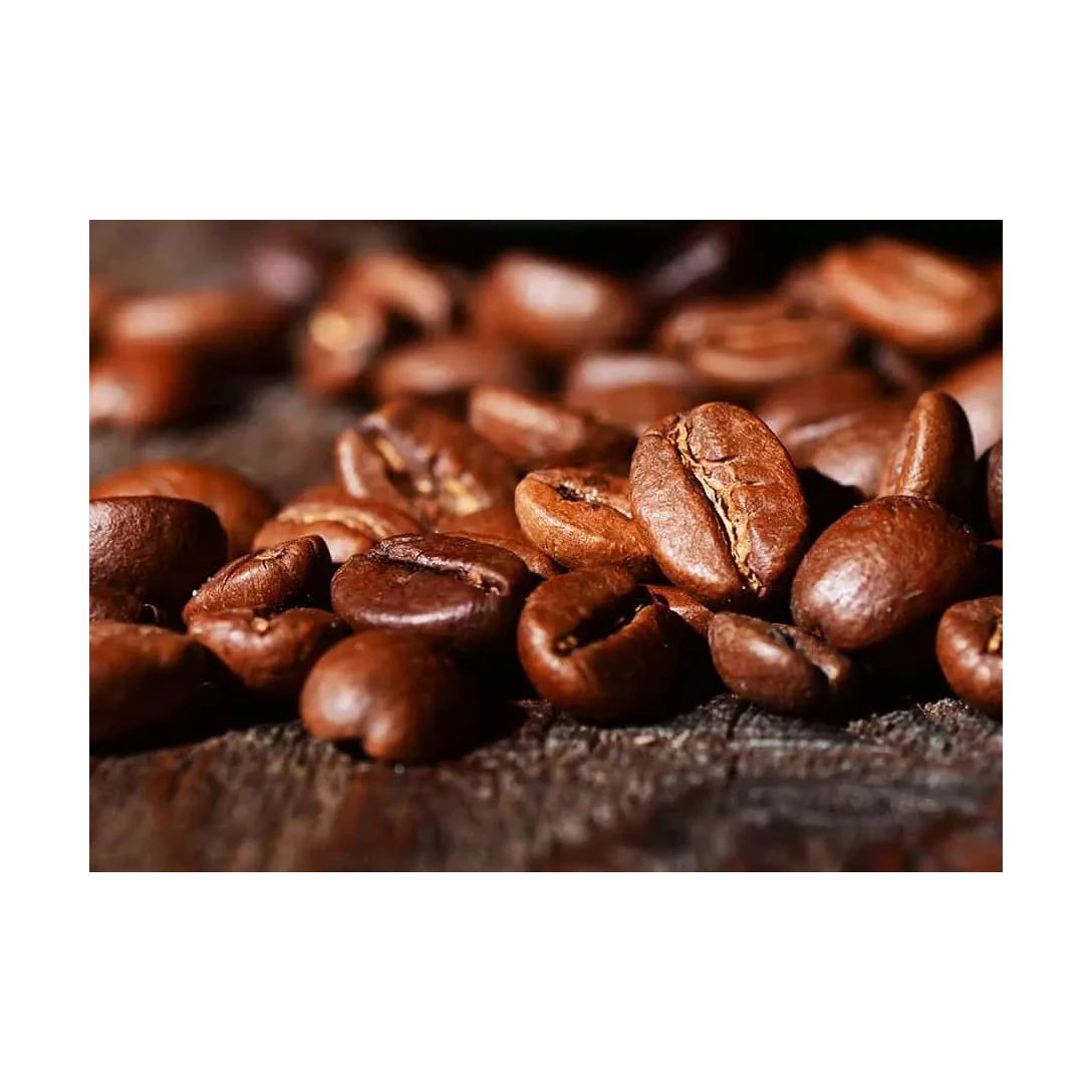ROBUSTA GREEN COFFEE BEANS HIGH QUALITY REASONABLE PRICE