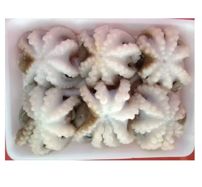 Sea Frozen Baby Octopus/Big Size Octopus with Competitive Price Wholesale Seafood Products