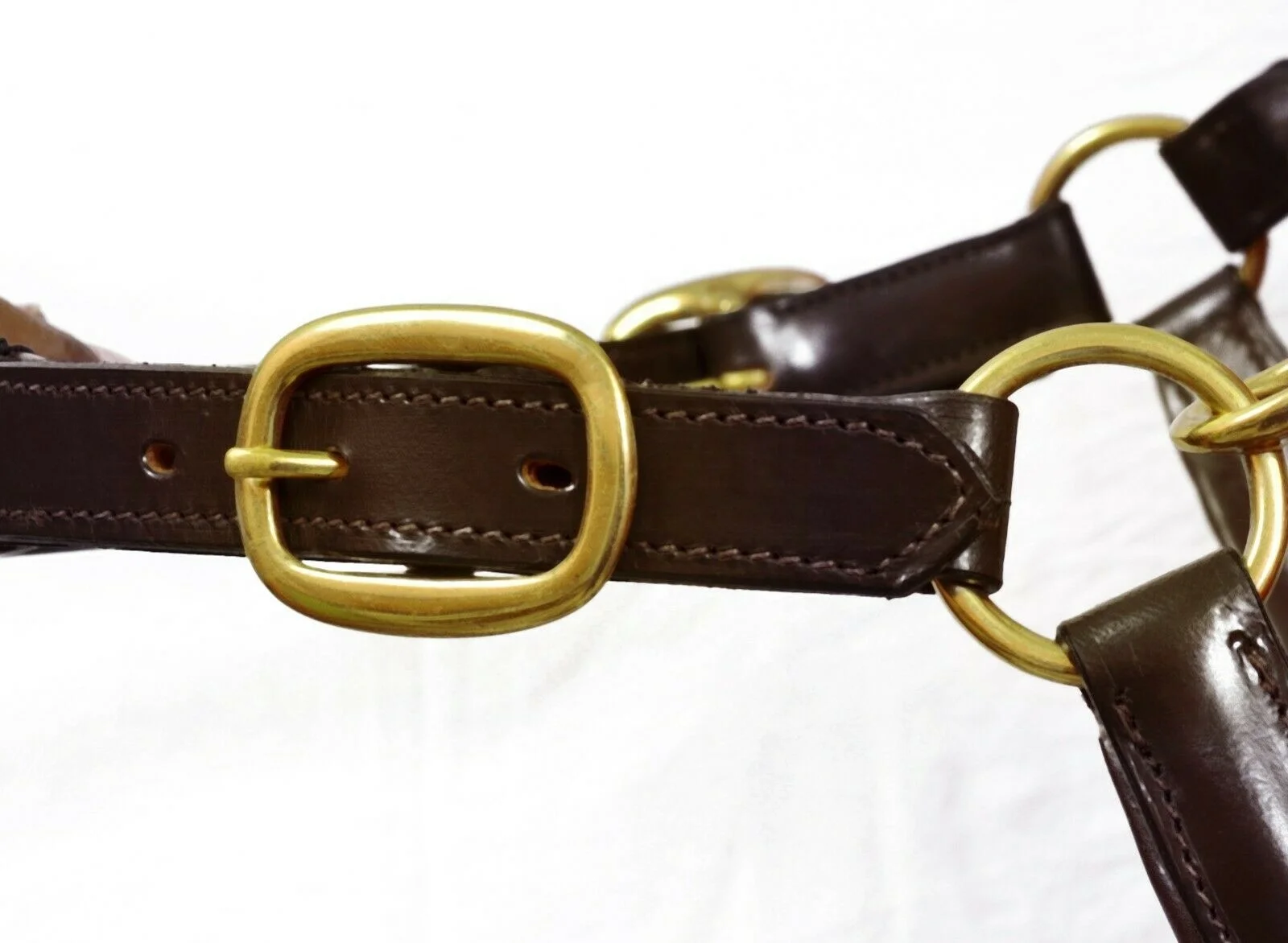 Best Buy Wholesale Equestrian Horse Leather Headcollar Halter Custom Brown Havana Color Softy Padded Solid Brass Fittings