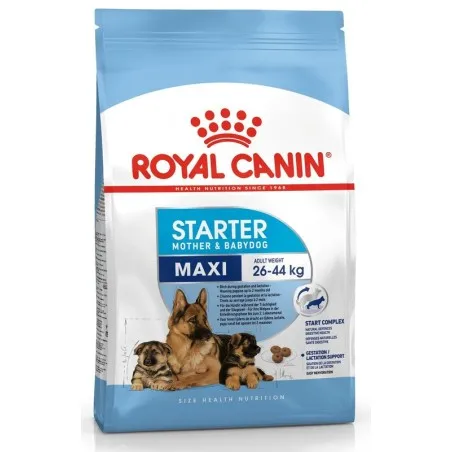 Factory supply Royal Canin Maxi Kitten Food