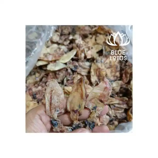 Wholesaler Baby Squid Raw Unsalt Seafood Vietnam Dried Vietnam Dried Squid Making Soup Vibrant Flavors