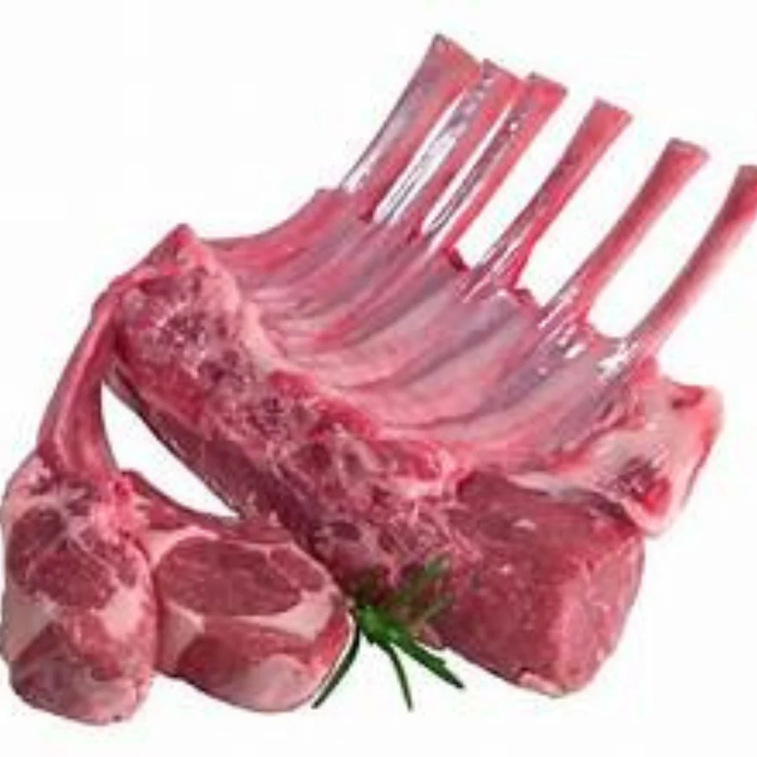 Bulk frozen lamb packages Quality frozen lamb for retail premium quality