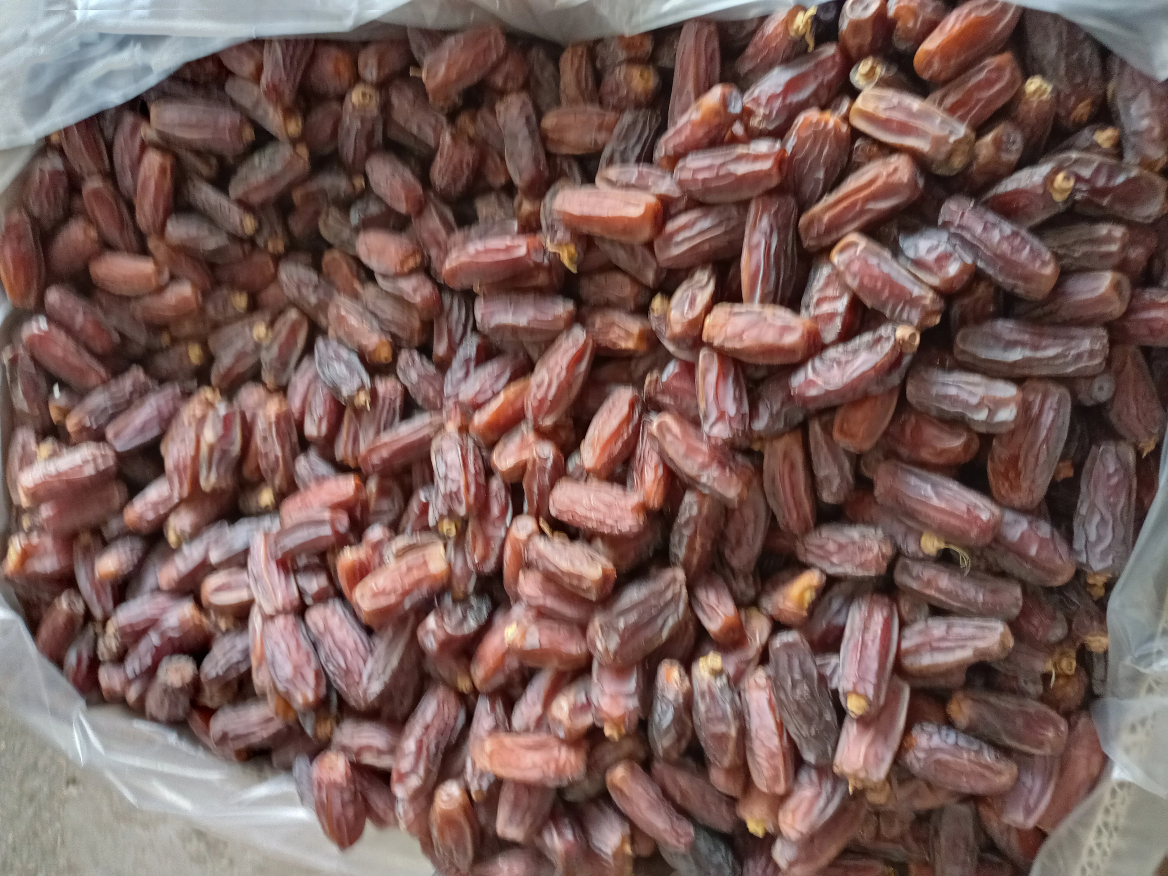 Yezao Top supplier of dates to global market Mabroom dates Saudi Dates available 5 kg packing and 24 kg packing box Ye zao