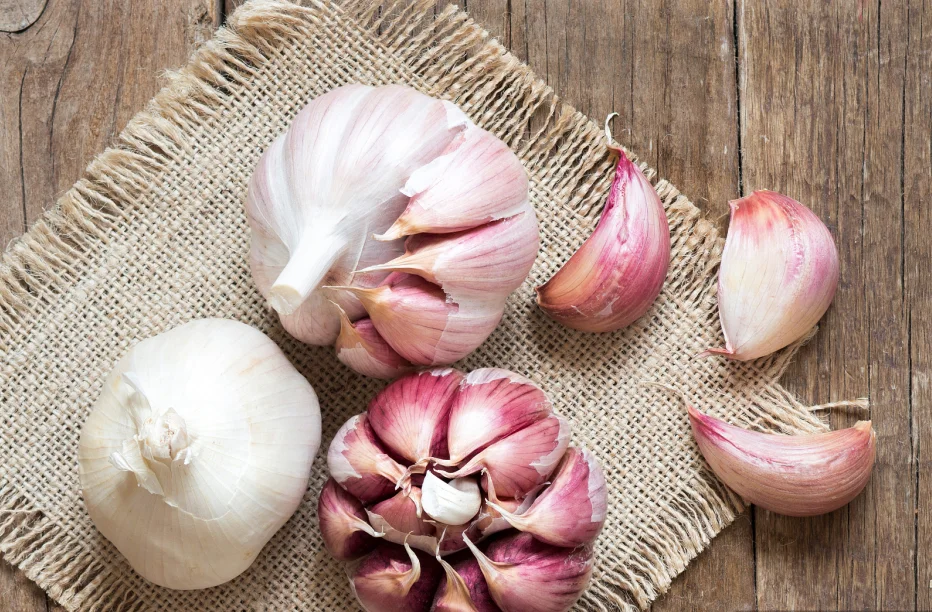fresh pure /normal white garlic for export mesh bag