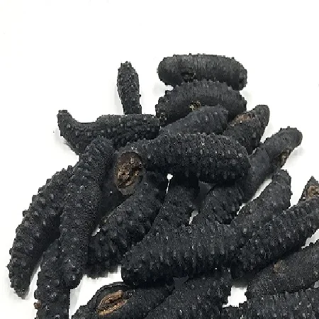 Dried Sea Cucumber Fresh Sea Cucumber Cheap Dry Sea Cucumber