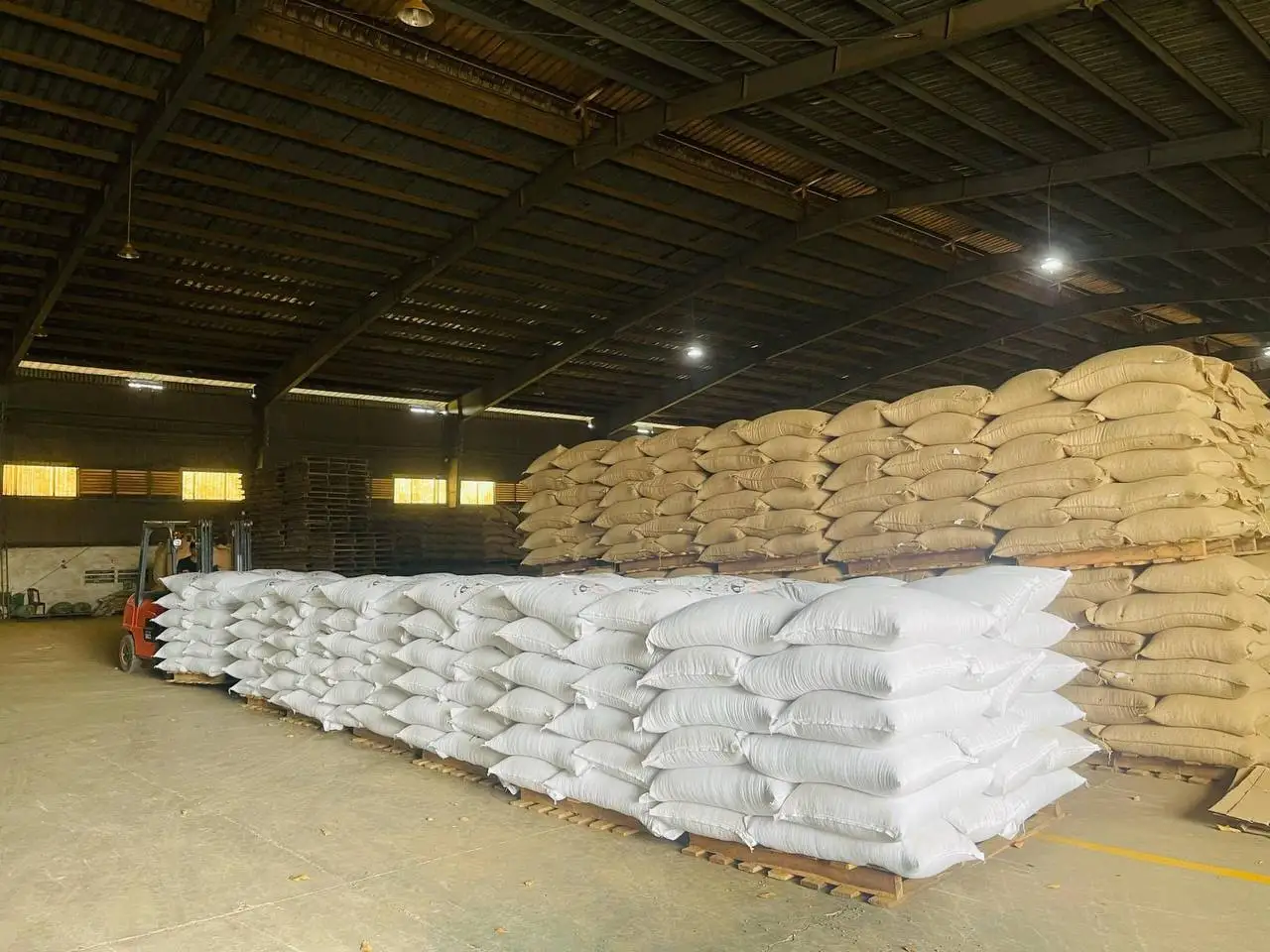 Coffee Bean Hot Sale Coffee Roasted Arabica Robusta Best Selling Coffee At Good Price Robusta Arabica Blend