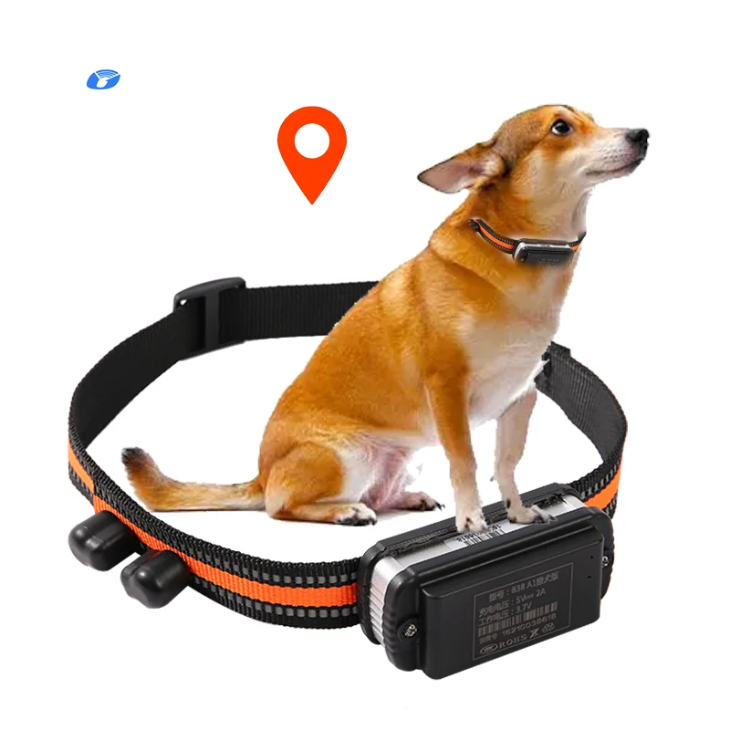 High quality reasonable price gps tracker collar for hunting dogs free app electronic shock high quality satellite locator