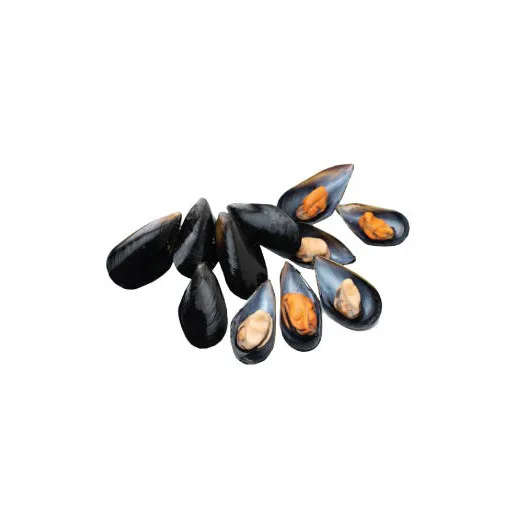 Seafood Importers Mussels In Shellfish Import Export Frozen Seafood High Quality Frozen Half Shell Mussel