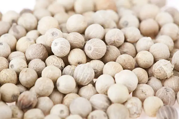White Pepper/ Ceylon white Pepper at best from Sri Lanka/ White Pepper Manufactures - Dried white pepper