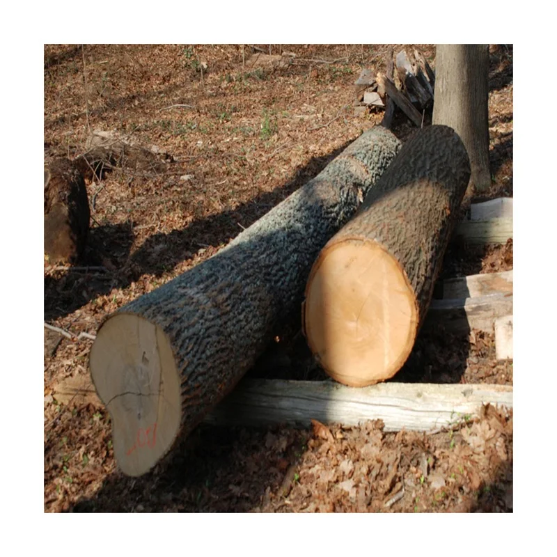 Дешевая цена дуб Билинга деревянные круглые бревна для продажи | Древесина древесины