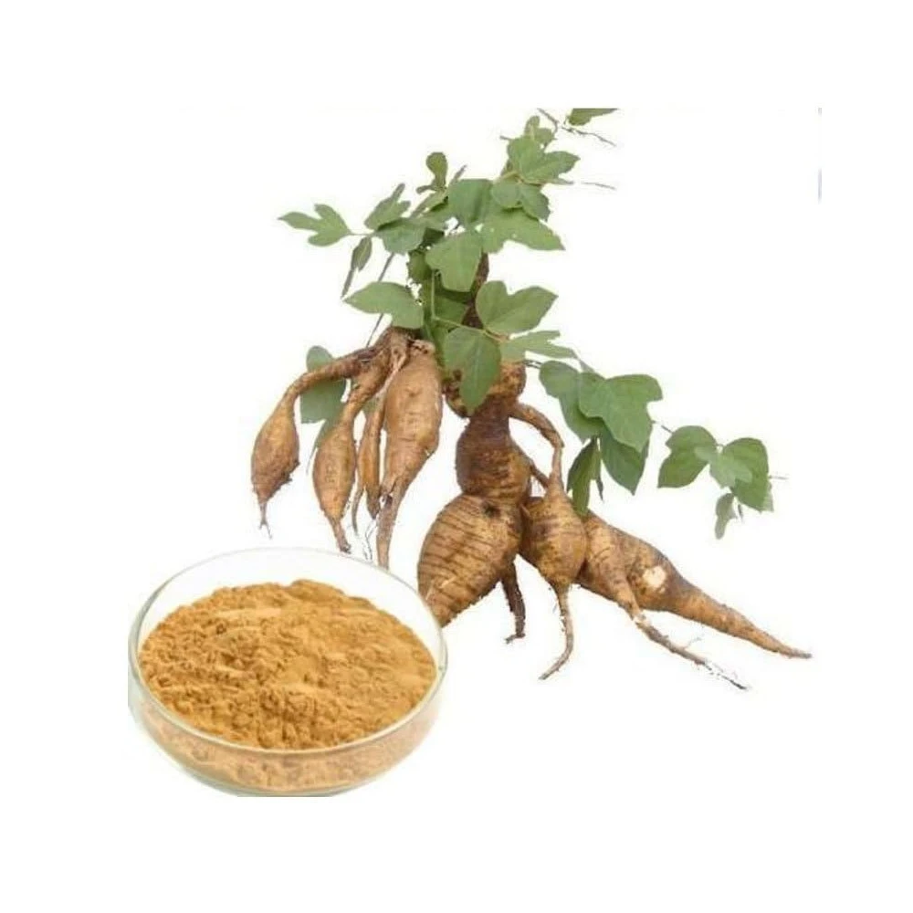 Reasonable Prices Kudzu Extract with 100% Pure Natural Grade Bulk Quantity Kudzu Extract For Sale By Exporters