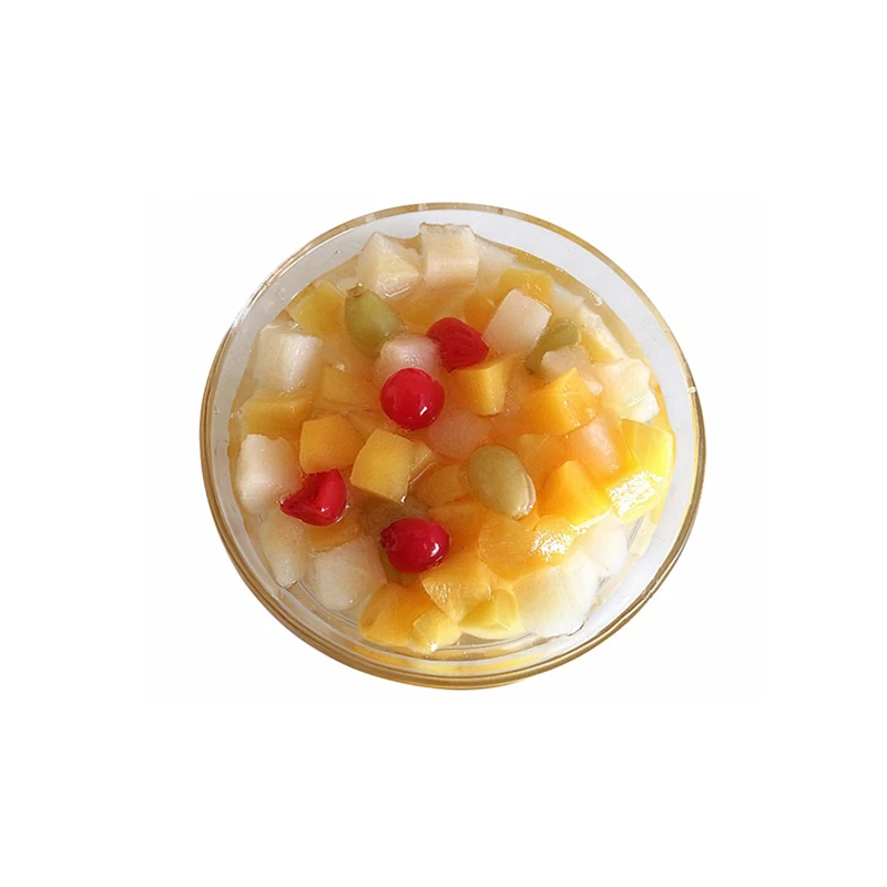 Canned Fruit Cocktail in Sweet Syrup Variety Pack featuring Pineapple Peach Cherry Mango Pear Apple Longan