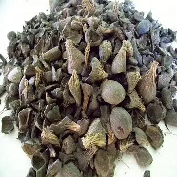 Factory price for Palm kernel shell suppliers