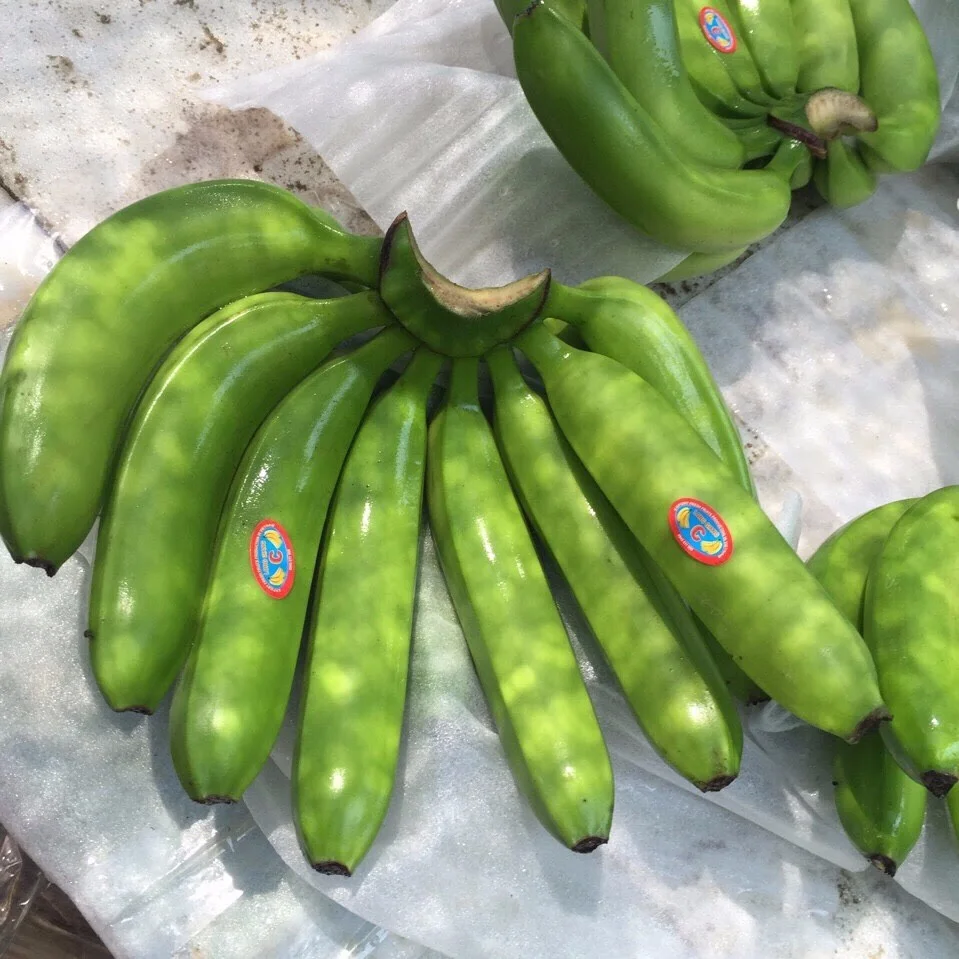 Banana 7.jpg