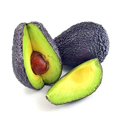 BEST ORGANIC FRESH AVOCADO FRUIT/ HASS AVOCADO ON SALE Premium Quality Fresh Avocado  Exporter AT WHOLESALE