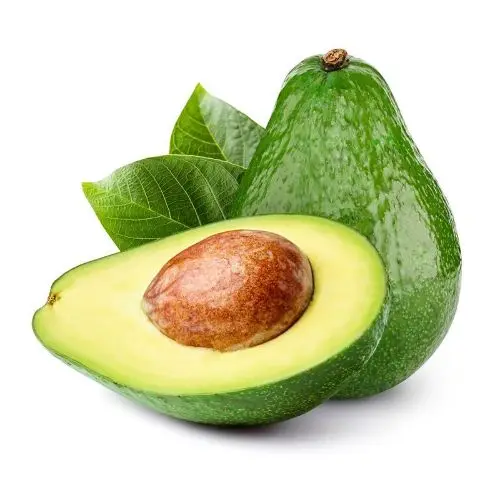 Quality Fresh avocado Fast Shipping with carton high quality avocado/Fresh Avocado for sale