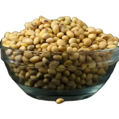 Best Premium Quality GMO Soyabean Beans for Animal Feedings Cheap Price