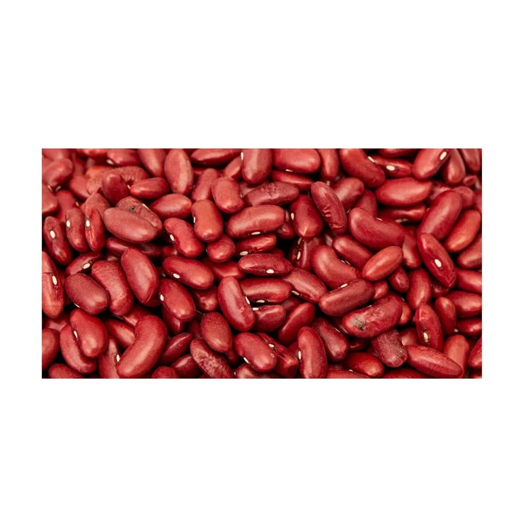 Wholesale Supplier Best Quality Red kidney Beans For Sale In Cheap Price Best Quality Red kidney Beans For Sale In Cheap Price