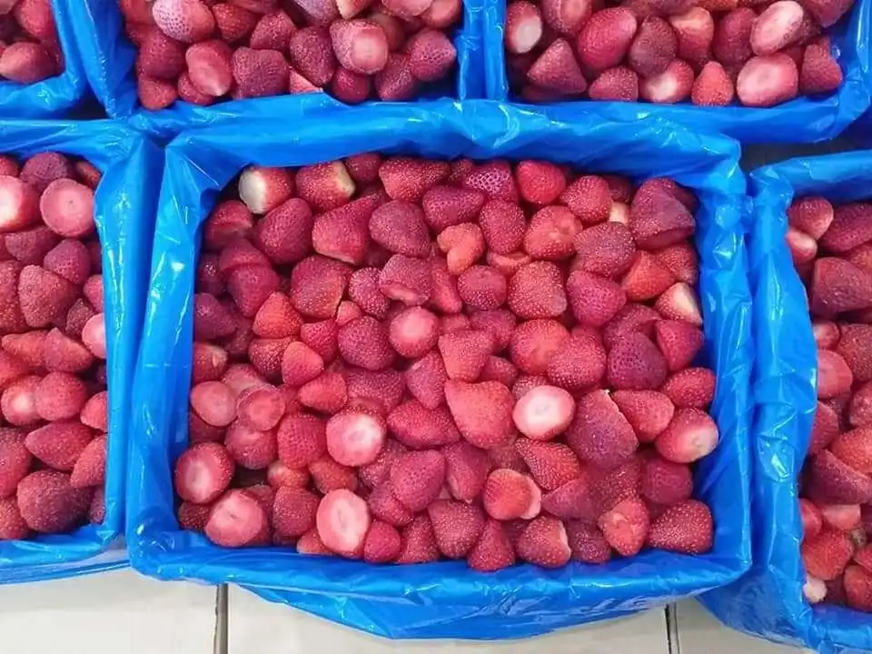 frozen IQF strawberry sweaty from egypt
