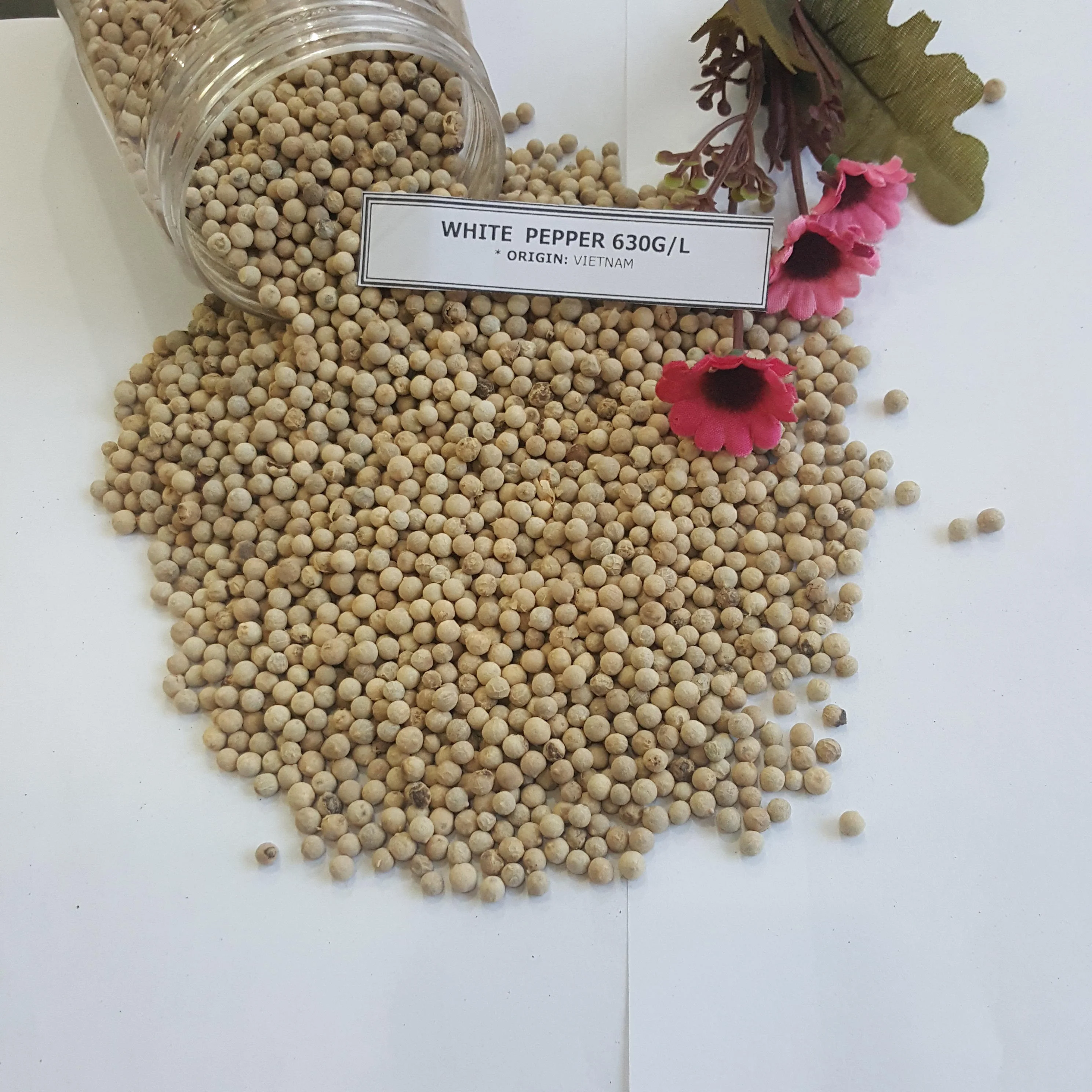 New 100% Organic High Grade White Pepper Cheap Price New White Pepper Wholesale from Vietnam