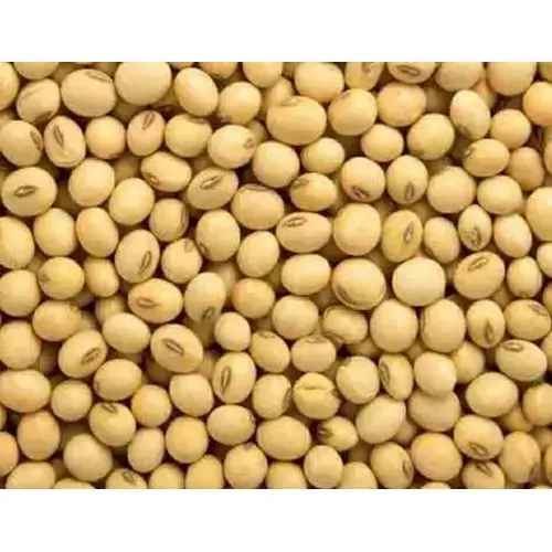 Soya beans