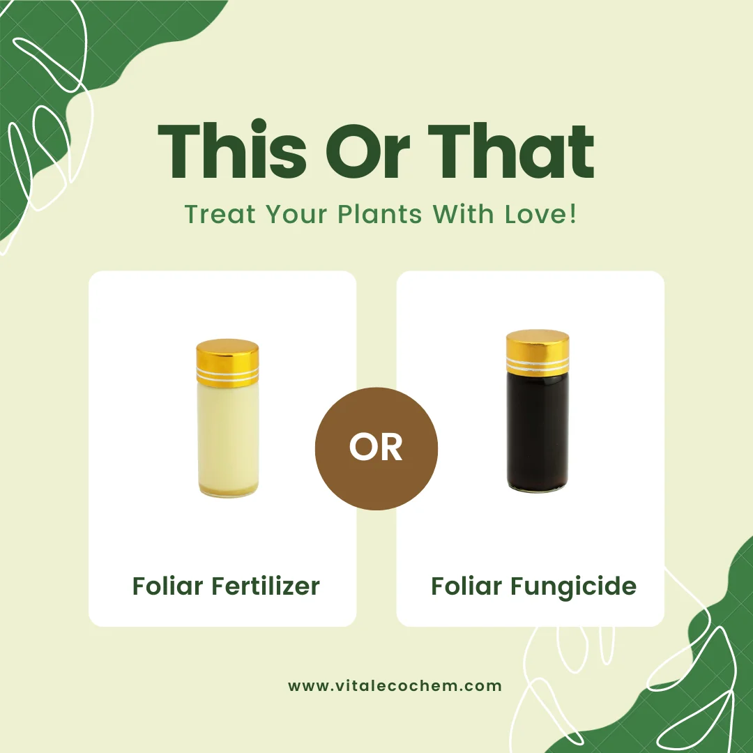 C18H30O2 Taiwan Supplier biological organic liquid fertilizer