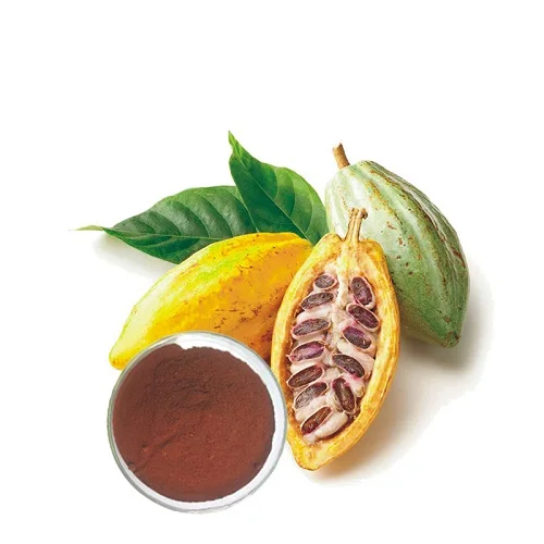 Best Supply Indonesia Raw Cocoa Beans 25kg Cocoa Beans