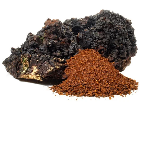 Chaga Mushroom Powder at Low Price