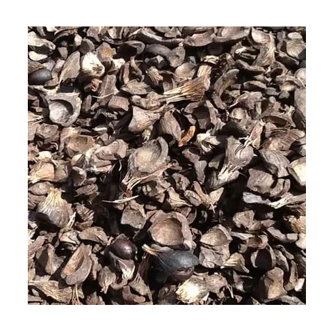 Palm Kernel Shell from Agricultural Waste