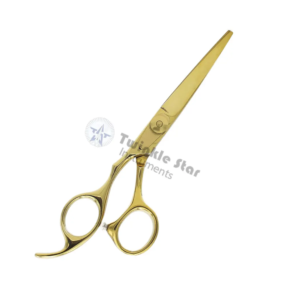 Professional Hair Scissors 6 Inch Hairdressing Scissors for Salon and Home Japan Silver HRC OEM Customised Steel Stainless Style