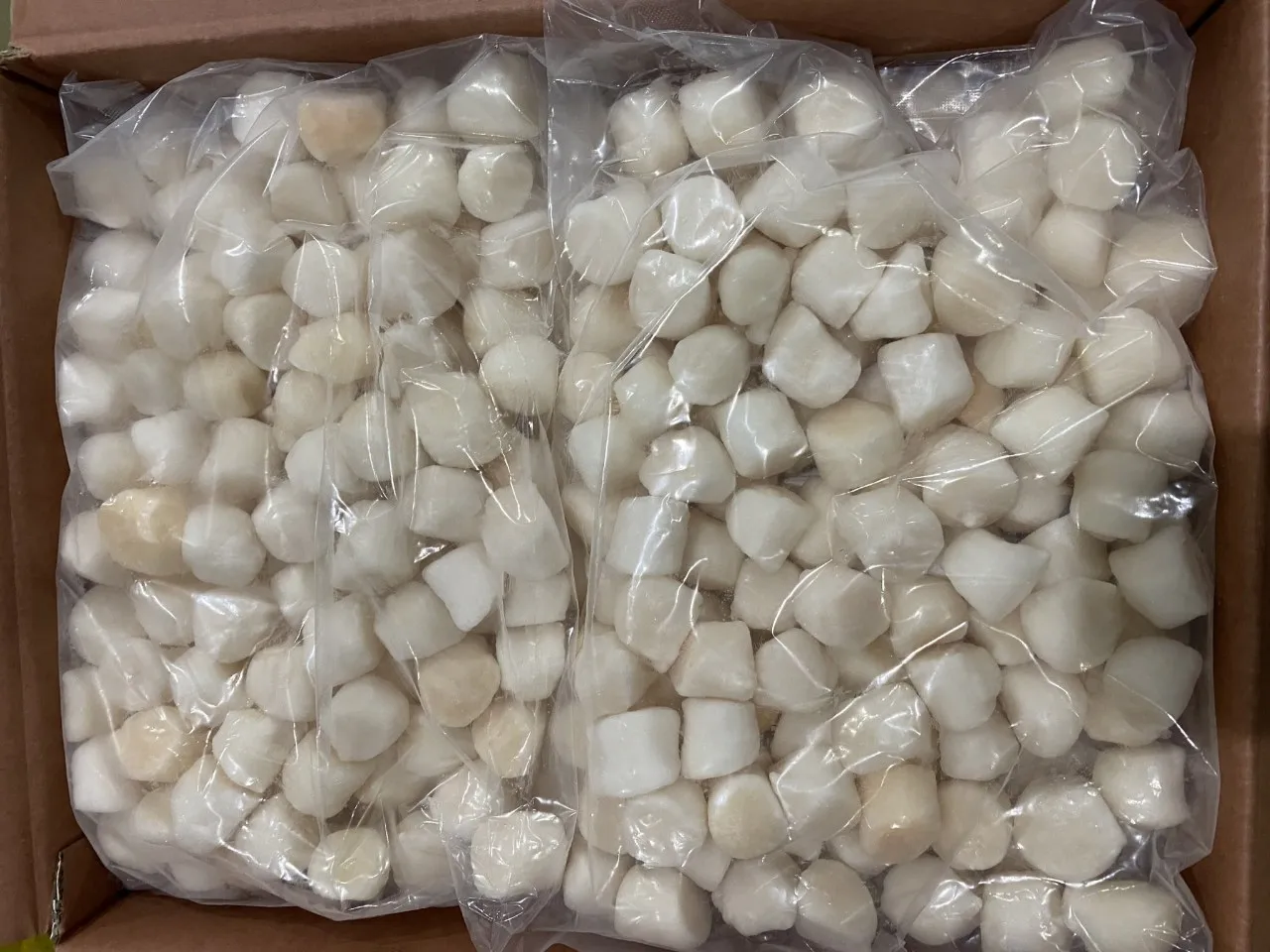 Different Size Dried Scallop Tastable Delicious Dried Scallop rich sweetness strong flavor for Sale Akina