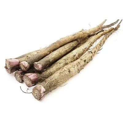 Good Quality New crop of Chinese fresh burdock root wholesale price vacuum pack.