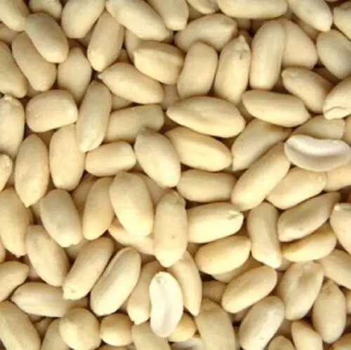 Премиум класс nutrion дорожный арахиса