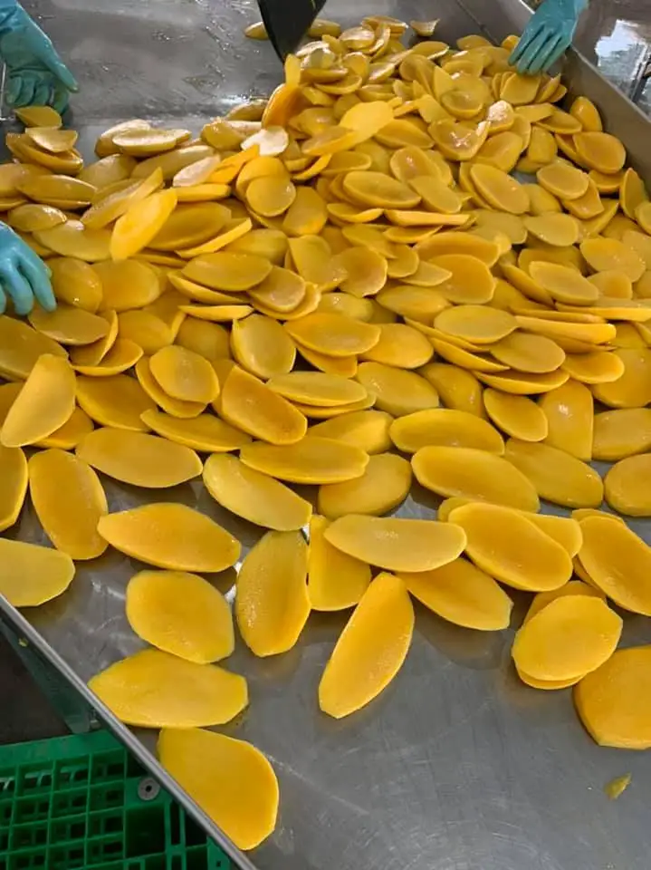 IQF Mango Slice Mango Chunks High Quality From Viet Nam Frozen Mango Stick