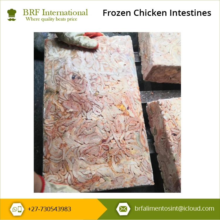 Superb Quality Direct Factory Hot Sale Frozen Chicken Intestines from Large Supplier