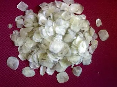 HOT SELLING Dried Fish Scales From Vietnam/ Dried Fish Scales With Low Price