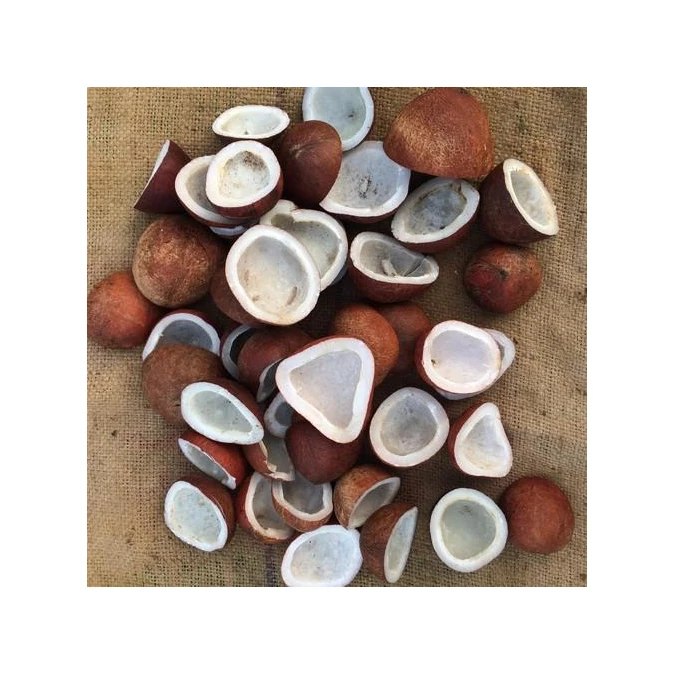 Best Quality Coconut Copra / Dried Coconut