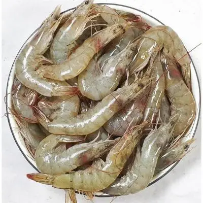 High Quality Frozen Shrimp /Frozen Natural Black Tiger Shrimp / Vannamei shrimps Seafood