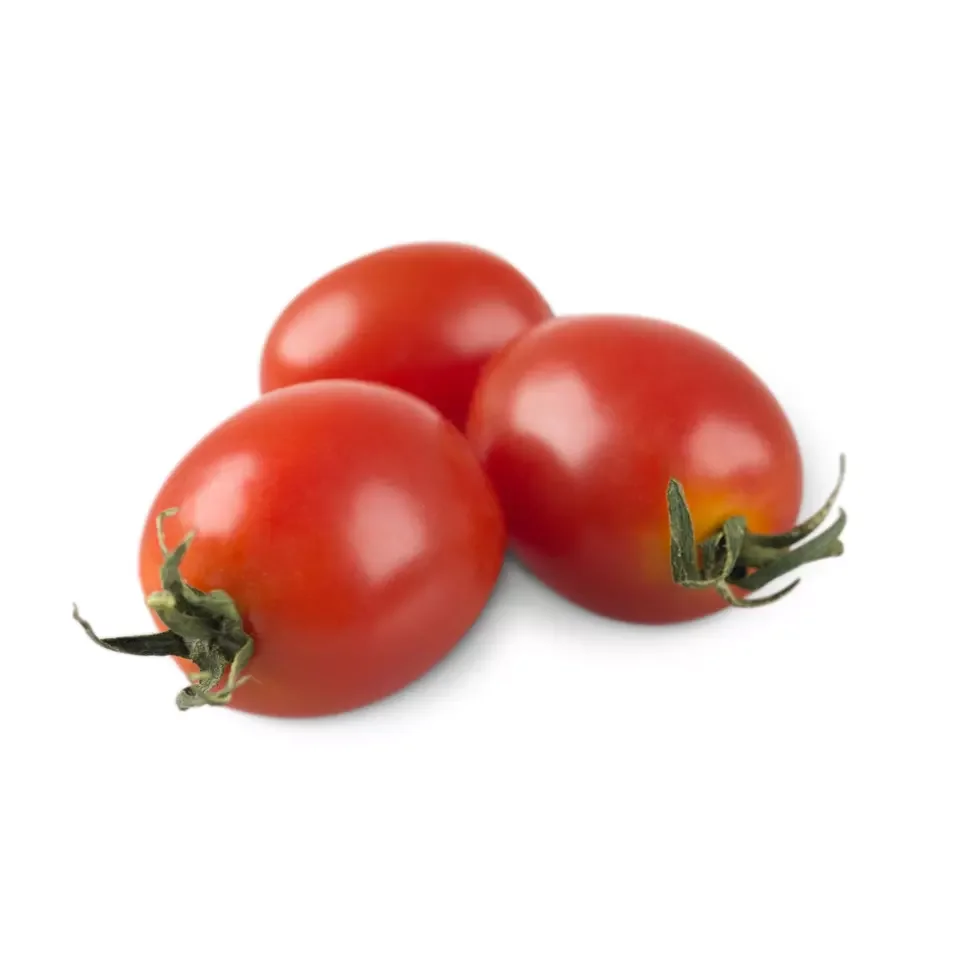 Fresh Tomatoes Red Green Cherry Style Organic Tomatoes Red Color Cardboard Boxes Plastic Crates Top Quality Tomatoes